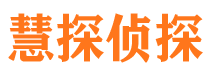 湖口市私家侦探